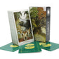New Wildwood TAROT Cards for Beginners