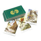 New Wildwood TAROT Cards for Beginners