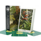 New Wildwood TAROT Cards for Beginners