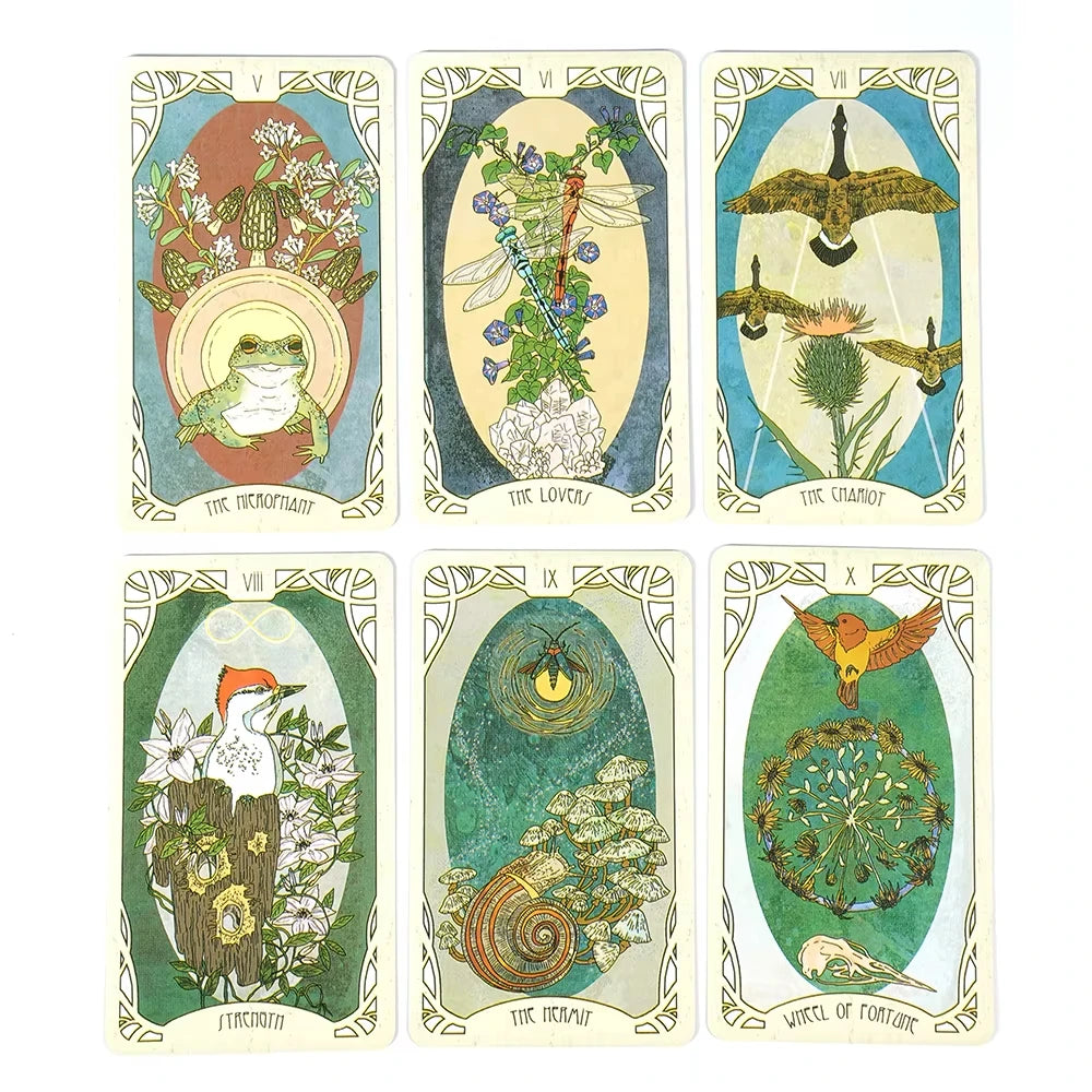 Forager's Daughter Tarot Divination Set